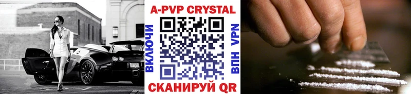 A PVP СК КРИС Каргополь