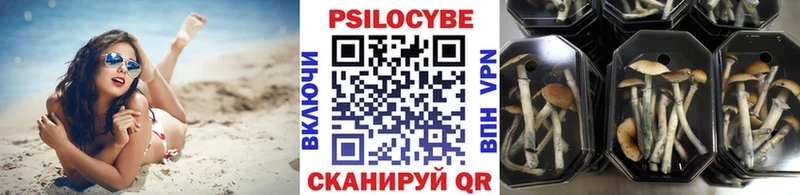 Галлюциногенные грибы прущие грибы  Каргополь 
