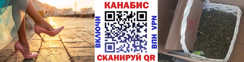 хочу наркоту  Каргополь  Конопля индика 
